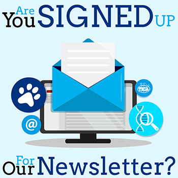 Newsletter Sign Up