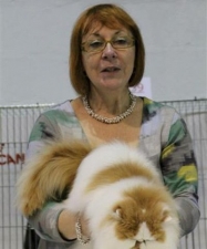 TICA Judge