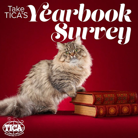 Yearbook Survey