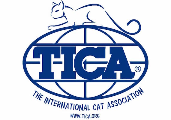TICACatLogoBlueWReg text Curved