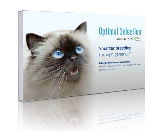Optimal Selection box