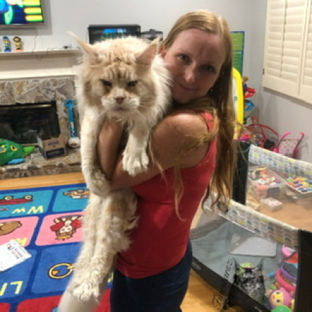 Maine Coon Kittens Available (FIVESTARZ)
